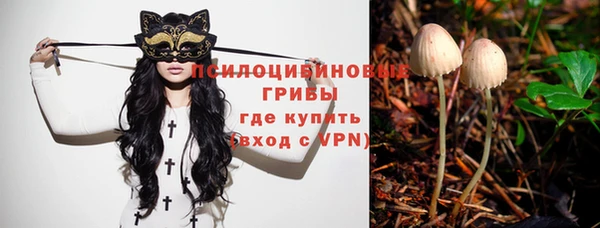 дживик Балахна