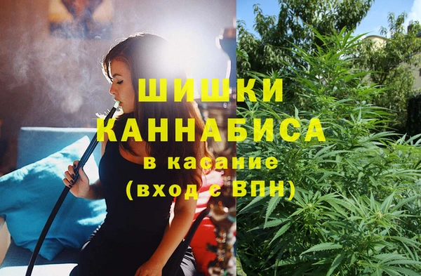 эйфоретик Баксан