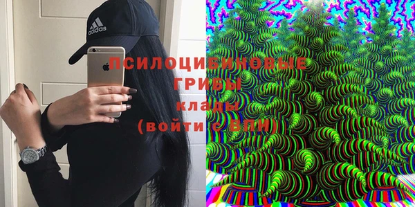 дживик Балахна