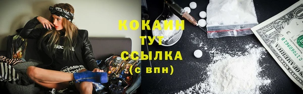 эйфоретик Баксан