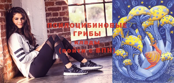 эйфоретик Баксан