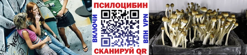 ссылка на мегу зеркало купить наркотики сайты Хасавюрт Псилоцибиновые грибы ЛСД
